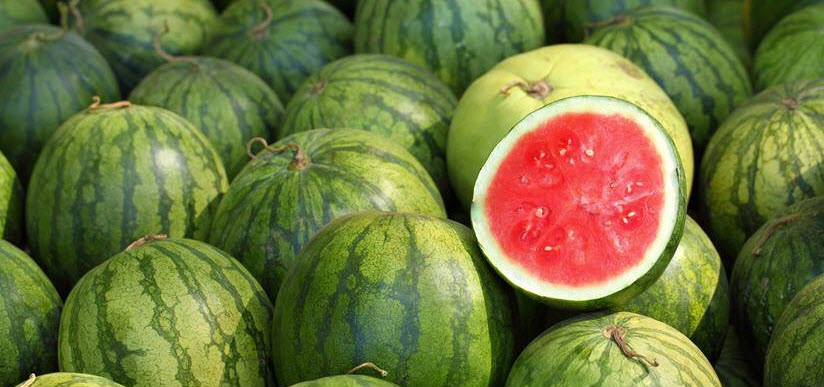 The Poisonous Watermelon